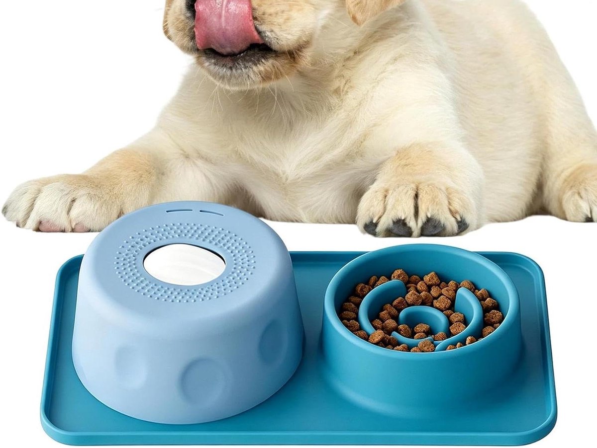 Honden Likbal Kom - Voedingsschaal Anti-Verstikking - Langzaam Eten Bevorderen - Dynamische Voedingsoplossing - 500 ml - Malachietblauw