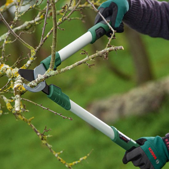 Bosch Groen Takkenschaar - 06008B5100 van Bosch — afbeelding 2