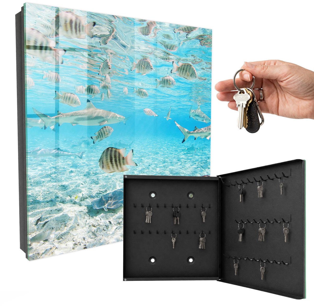 WallMuralia - Sleutelkast - 30x30x5 cm - met 50 haken - Waterleven Sleutelkastje Design - Turkoois Sleutelbox - Rechtsopenend - Zwart interieur