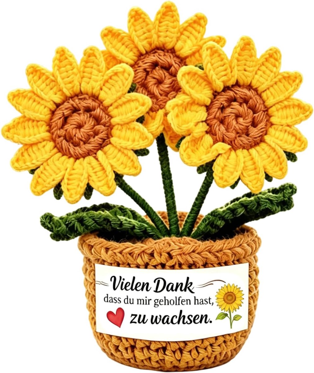 Cadeaus voor vrouwen, verjaardagscadeau, handgehaakte zonnebloem, beste vriendin cadeau (cadeau voor leraren/leraren)