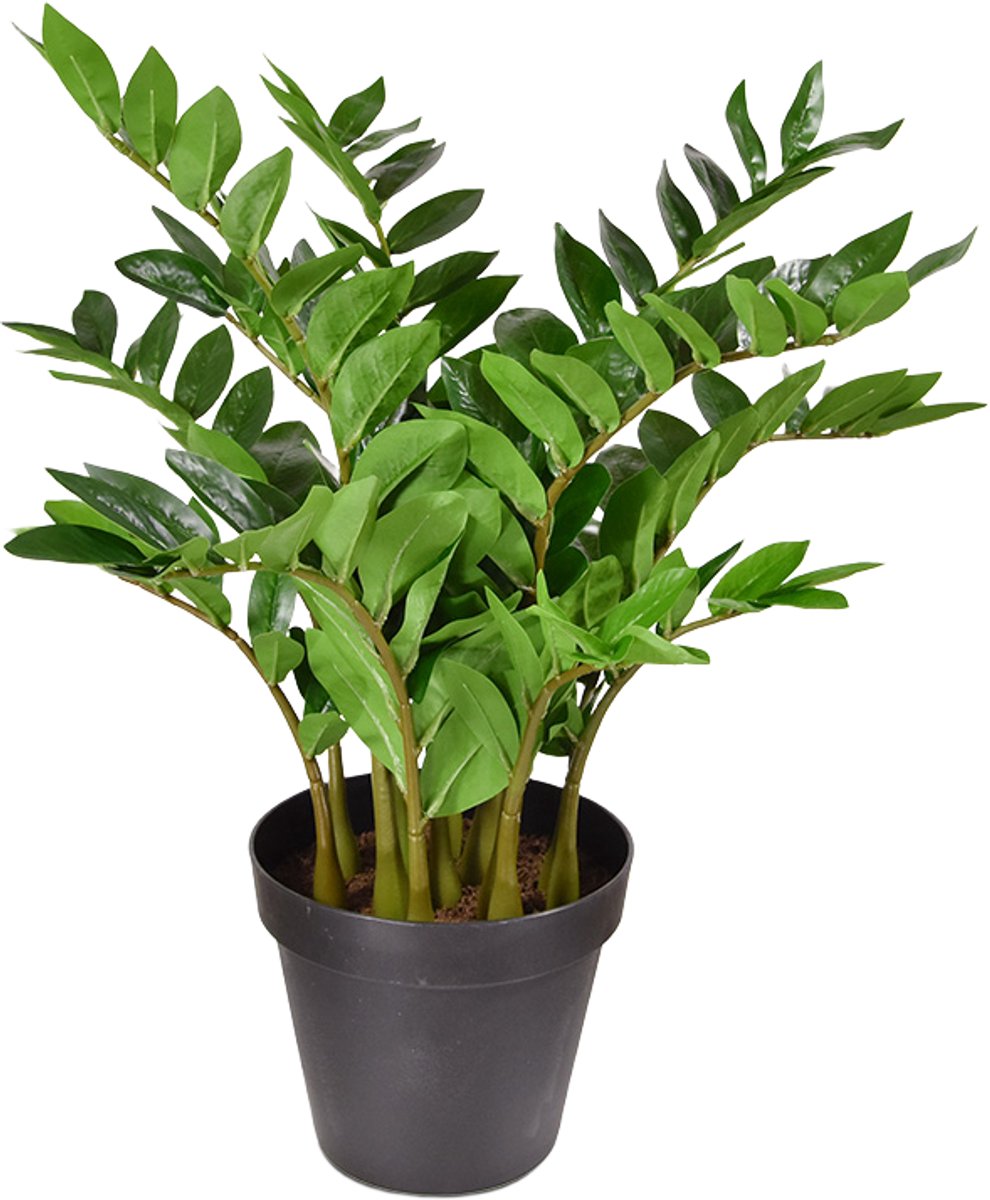 maxifleur Kunstplanten Zamioculcas kunstplant 70cm Groen