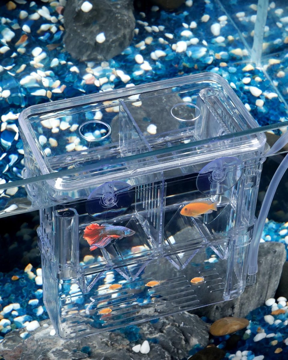 Dailygoods - Pawfly Aquarium Vissen Kweekdoos Transparante Plastic Kweekbak voor Incubator Garnalen Betta Clownvis Incubatie Box Medium Isolatie Box