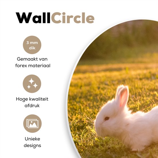 WallCircle - Wall Circle - Wall Circle Indoor - Lapins - Bébé - Wit - 140x140 cm - Décoration murale - Peintures Ronds