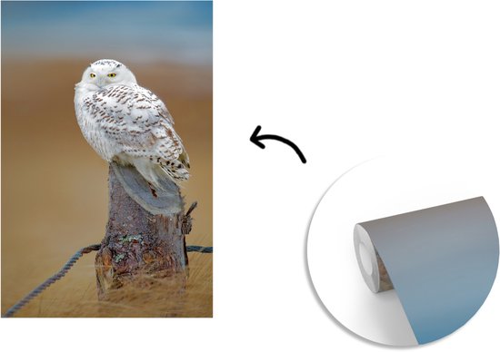 Papier peint photo vinyle - Harfang des neiges perché sur une souche d'arbre largeur 150 cm x hauteur 220 cm - Tirage photo sur papier peint (disponible en 7 tailles)