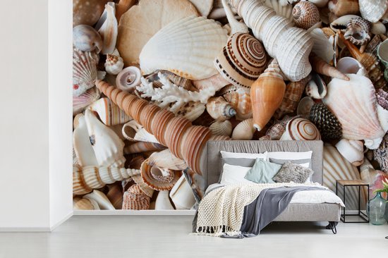 Papier Peint - Papiers Papier peint photo Coquillages - Plage - Collection - Largeur 450 cm x Hauteur 300 cm