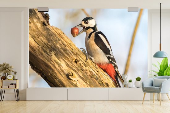 Papier peint photo en vinyle - Un grand pic tacheté avec une noisette largeur 420 cm x hauteur 280 cm - Tirage photo sur papier peint (disponible en 7 tailles)