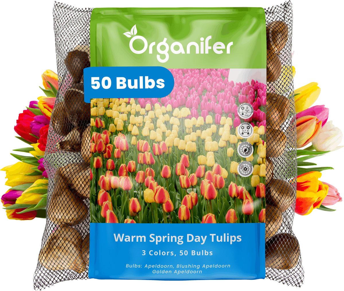 Tulpenbollen - 50 Bloembollen - Warm Spring Day - Apeldoorn Mix Geel Oranje Rood - Organifer