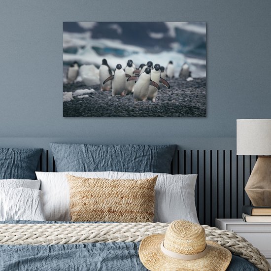 Adelie pingouins sur la plage poster papier 90x60 cm - Tirage photo sur Poster (décoration murale salon / chambre) / Poster Animaux sauvages