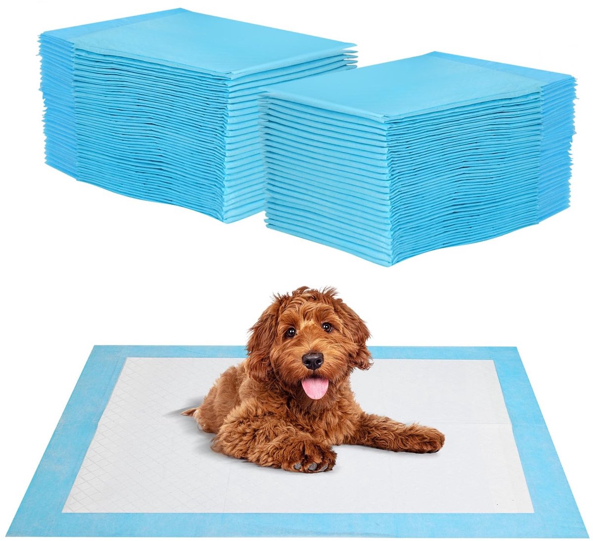 Dailygoods- Puppy-onderleggers 40 stuks - 60 x 60 cm - Wegwerp - Lekvrij - 5-laags design - Sneldrogend oppervlak - Veilig en huidvriendelijk - Plaspads