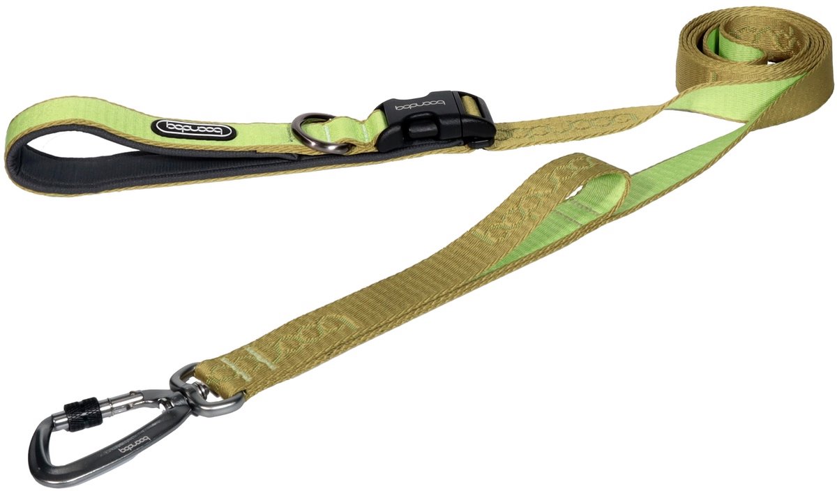 Boondog Hondenriem 2.0m - Verstelbaar - Extra Sterke Nylon Riem - Meer Controle - Comfortabele Grip - Karabijnhaak - Kiwi - Maat S
