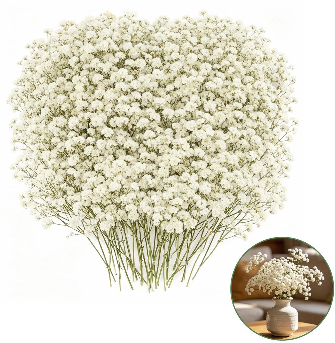 Omgoods - Set van 100 Gedroogde Bloemen voor DIY Projecten
