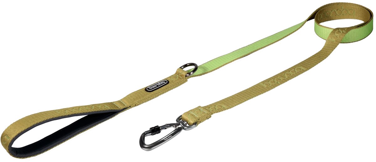 Boondog Hondenriem 1.4m - Sterke Nylon Riem - Comfortabele Grip - Lichtgewicht Karabijnhaak - Voor Dagelijks Gebruik - Kiwi - Maat L