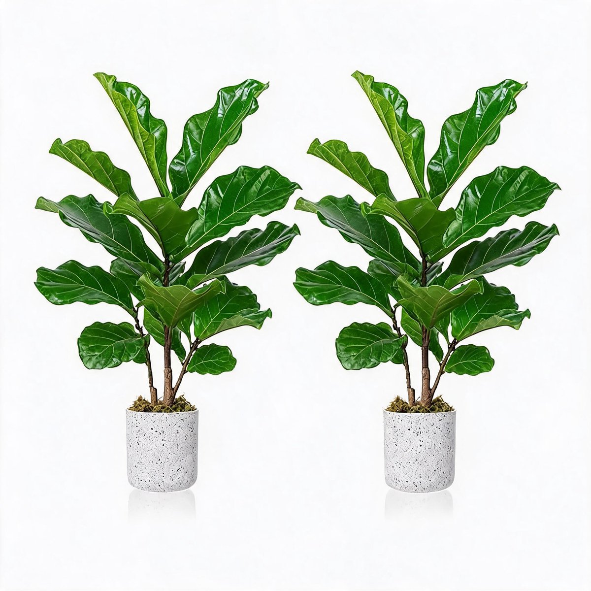 Danky decoratieve kunstficus lyrata set 2 stuks 40 cm PEVA - groene tafelplant inclusief marmerlook pot