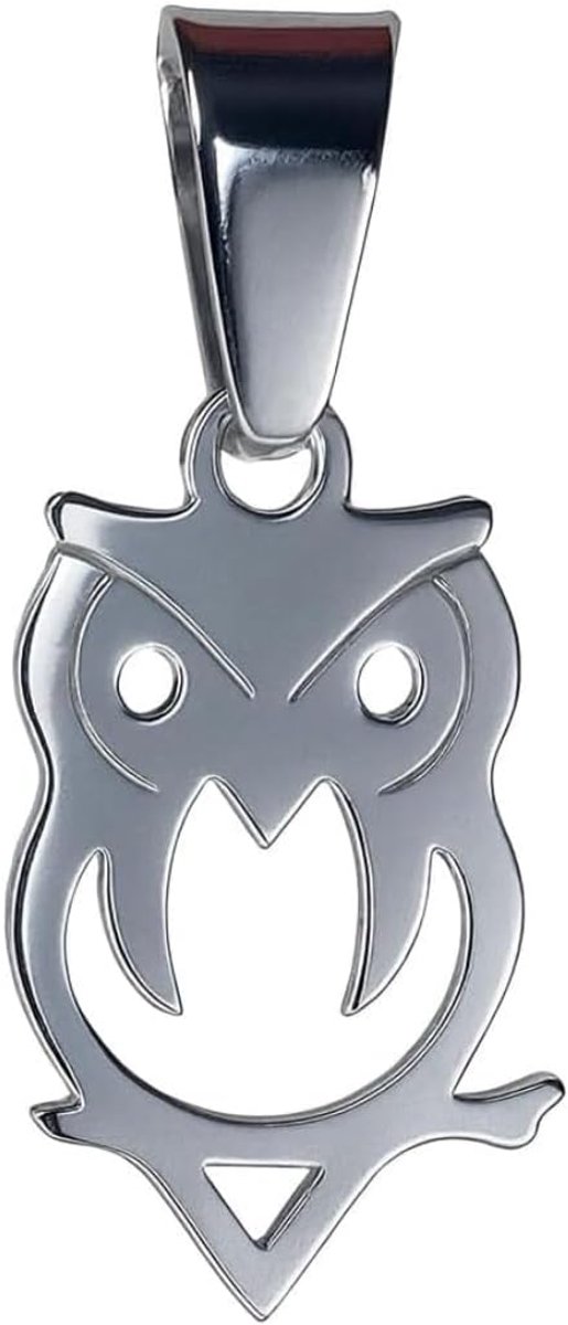 Uilhanger van roestvrij staal, symbool van wijsheid en intuïtie, uniseks, elegant en spiritueel, geluksbrenger, verkrijgbaar in goud of zilver