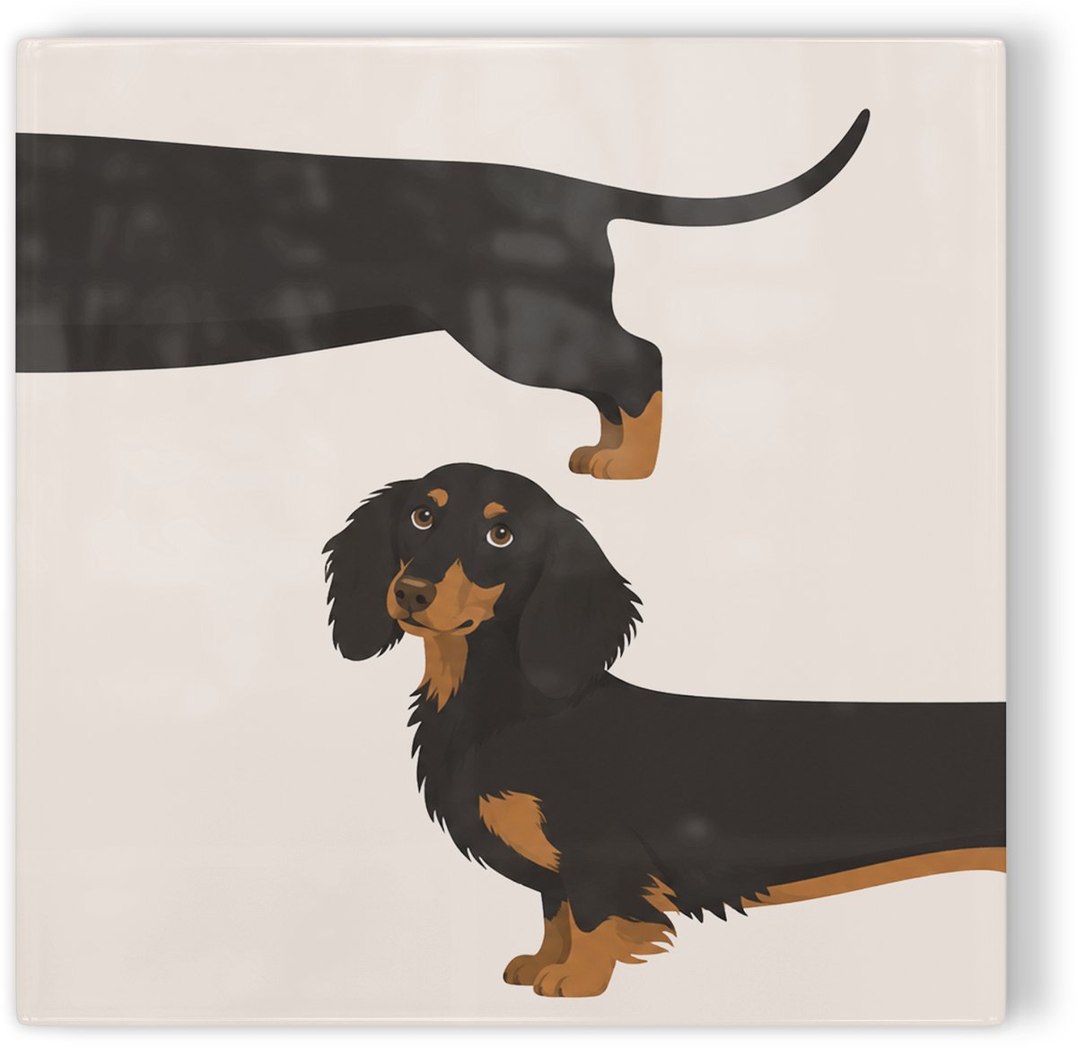 Tegeltje Teckel zwart - beige - tegeltje hond - tegeltje met illustratie