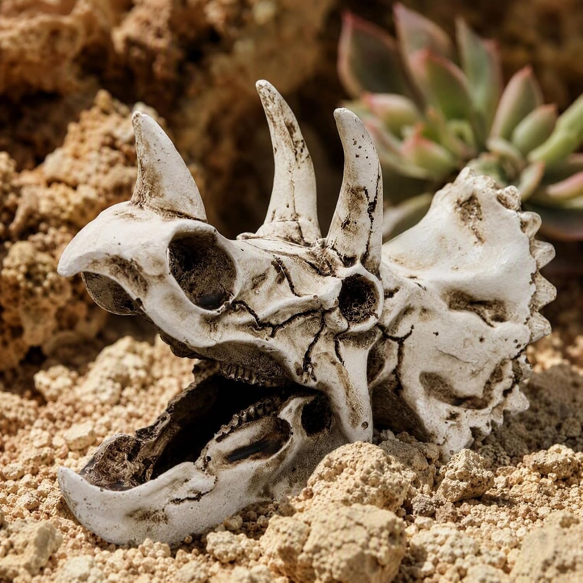Dinosaurus schedel, aquarium, decoratie, triceratops, skelet voor viscontainer, duurzaam en veilig als verstopplaats voor vissen en terrariumvormgeving