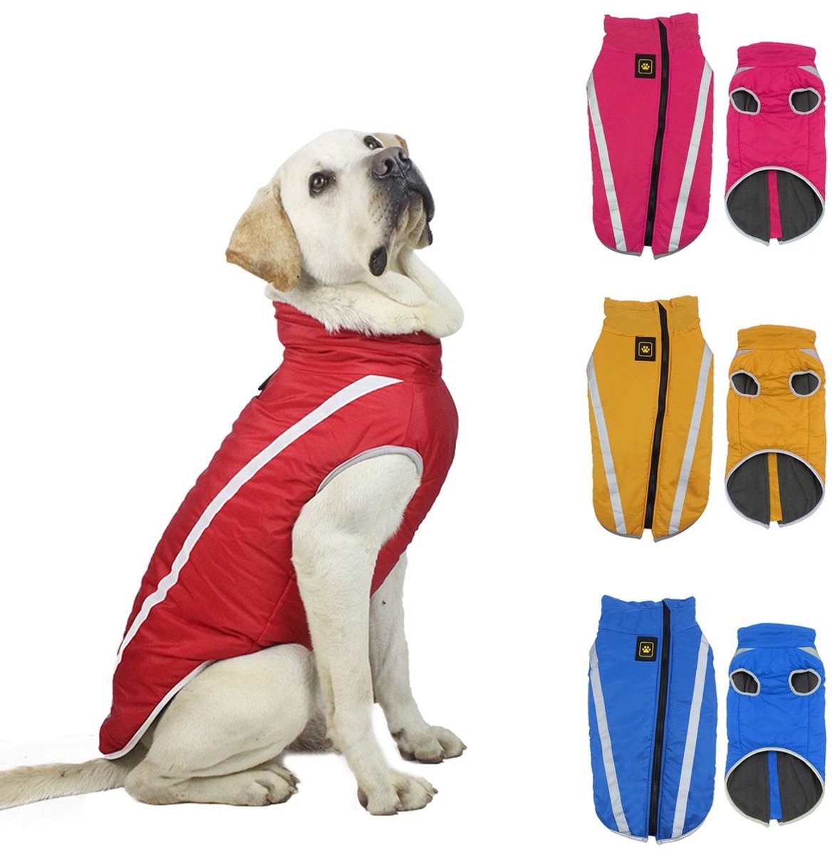 Waterdichte winterjas voor honden Paw Blauw, 2XL