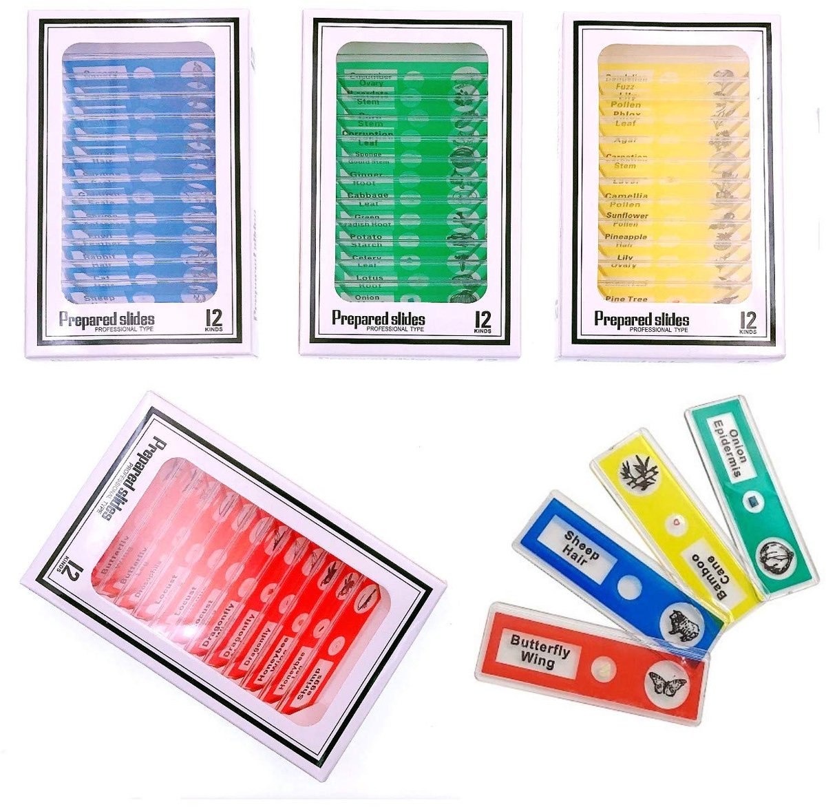 SnelShoppen - 48 Stuks Plastic Microscoop Glazen voor Kinderen met Dieren, Insecten, Planten, Groenten voor Educatieve Doeleinden