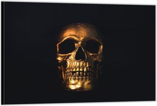 Dibond –Gouden Skull  – 90x60cm Foto op Dibond;Aluminium (Wanddecoratie van metaal)