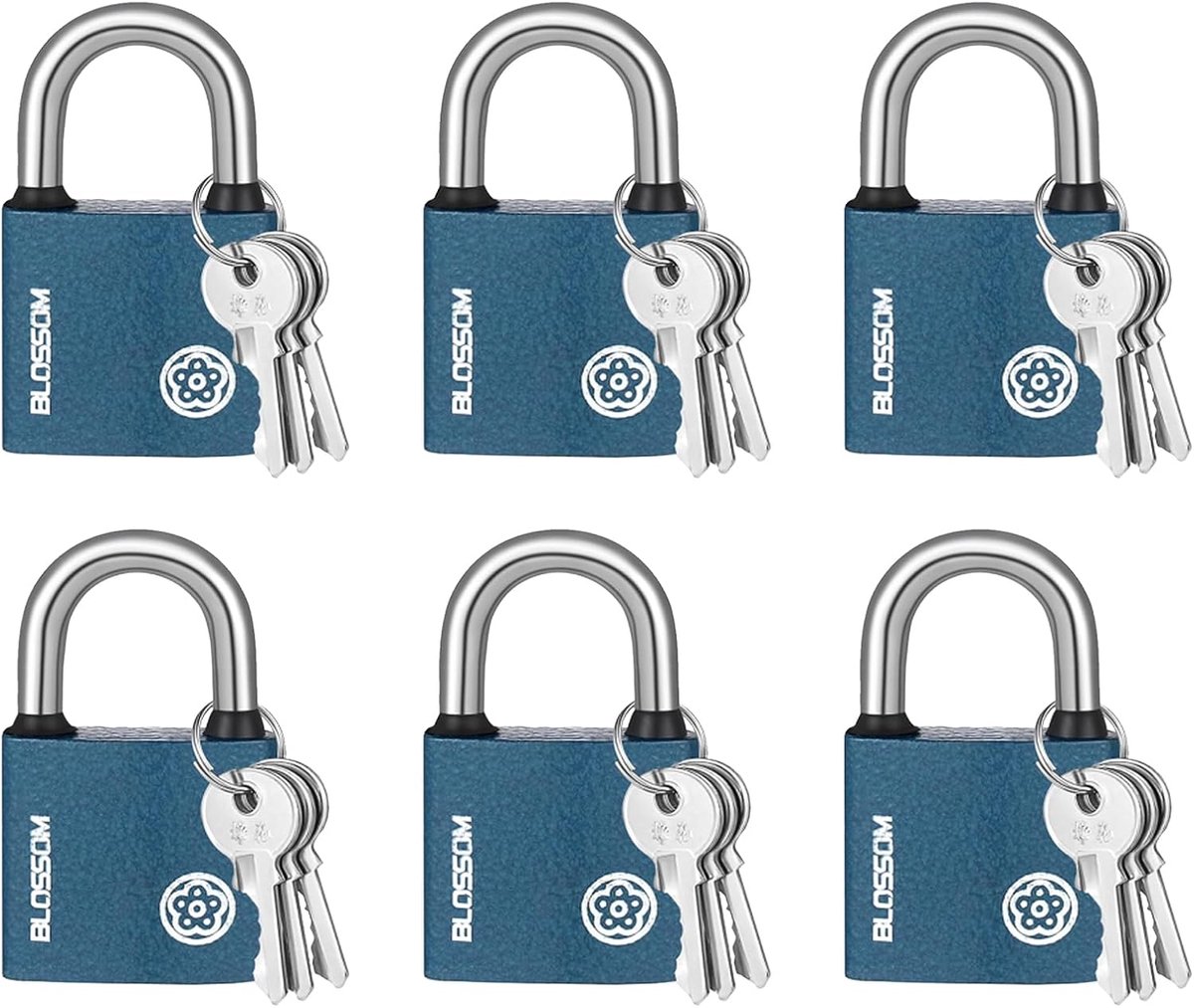 SnelShoppen - 6 Stuks Buiten Hangslot 38mm Cilinder met 6 Sleutels per Slot, Zware Kwaliteit Hangsloten Weerbestendig voor Houten Deuren, IJzeren Deur