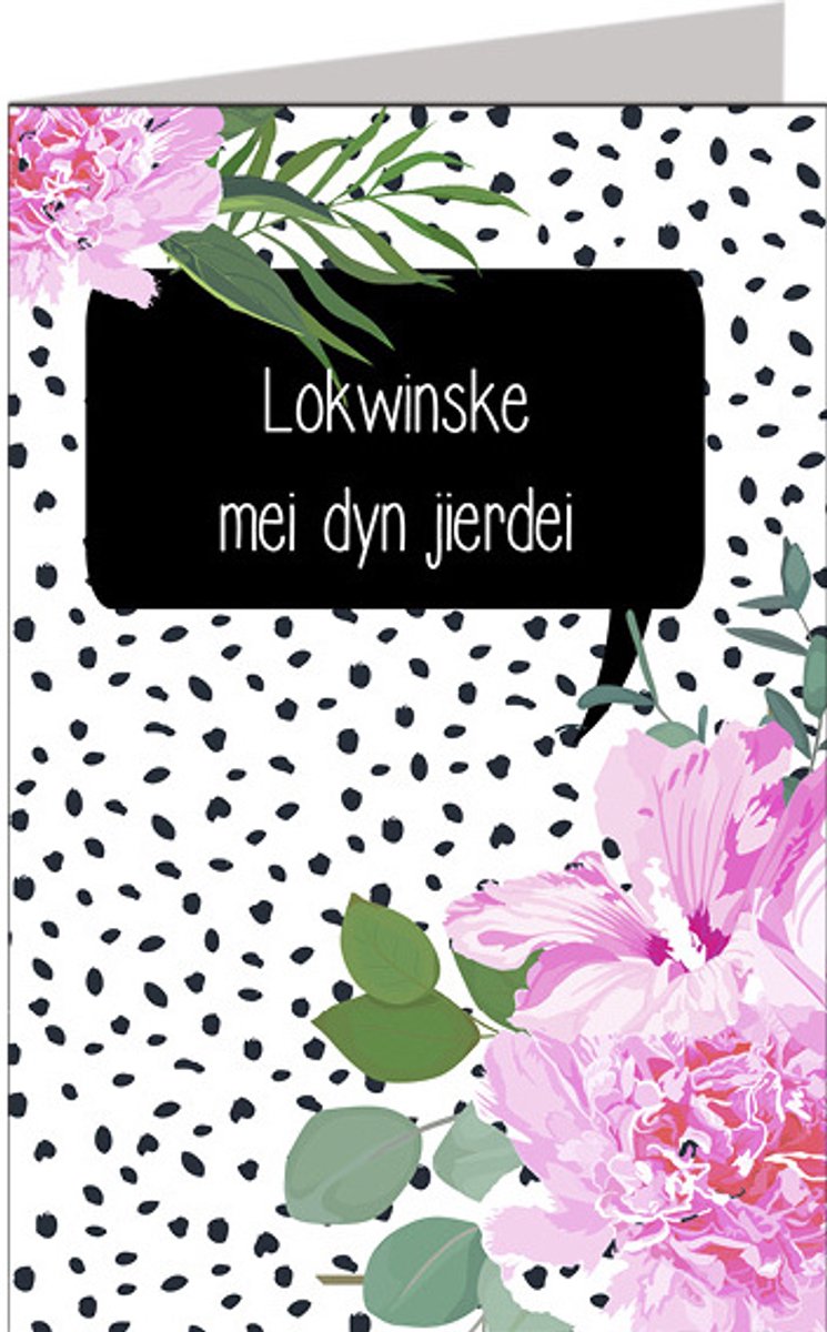 Friese kaarten Jillz | 11x17 | 6 stuks | Vak 112