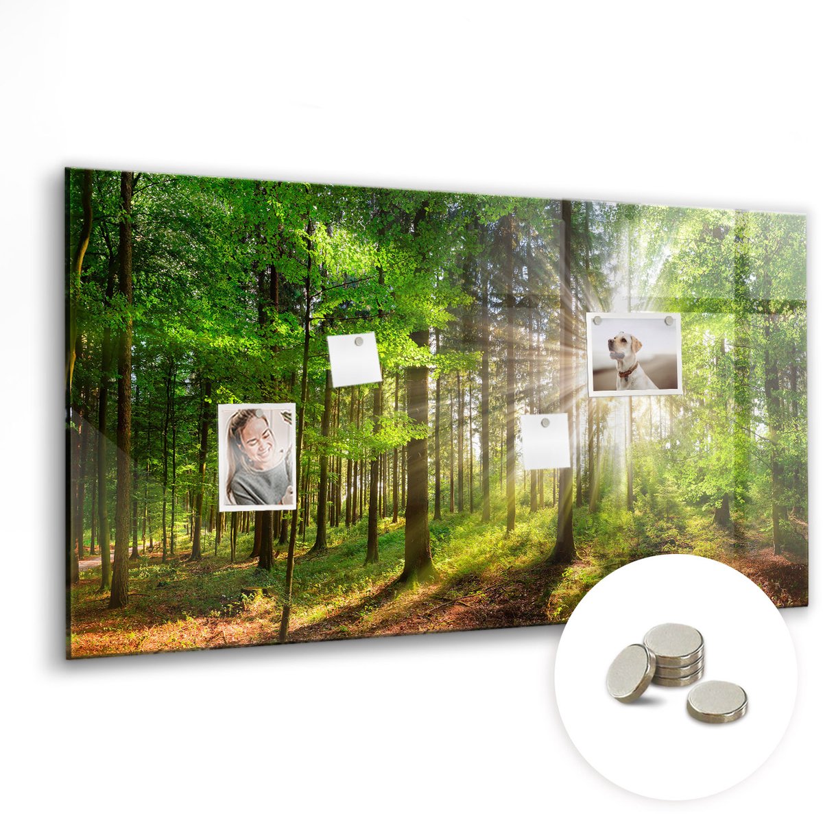 Coloray Glazen Magneetbord - Magnetisch Bord Houten kubussen - 120x60 cm - Groente Magneetbord - Magnetic Board - Glazen Magneetbord