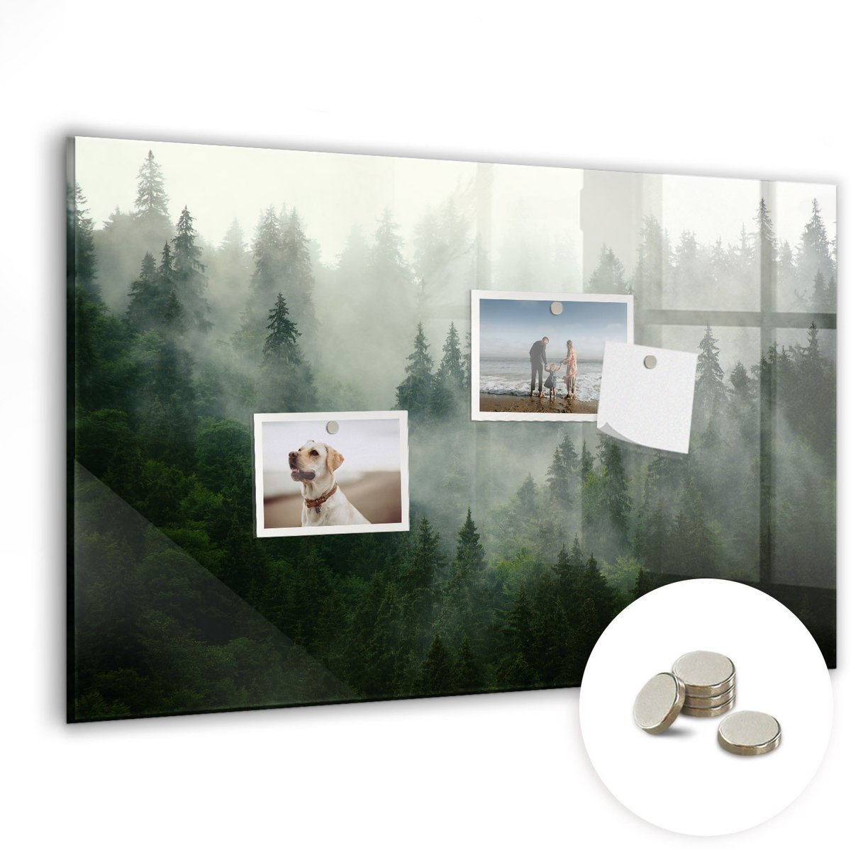 Coloray Glazen Magneetbord - Magnetisch Bord Nevelbos - 60x40 cm - Groente Magneetbord - Magnetic Board - Woonkamer Decoratie