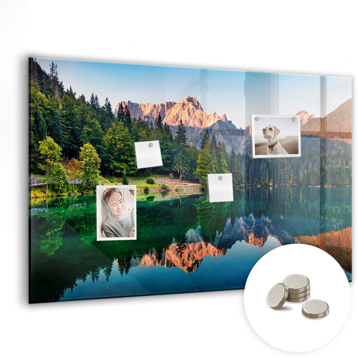 Coloray Glazen Magneetbord - Magnetisch Bord Jaarringen van bomen - 90x60 cm - Veelkleurig Magneetbord - Magnetic Board - Magneetbord Design