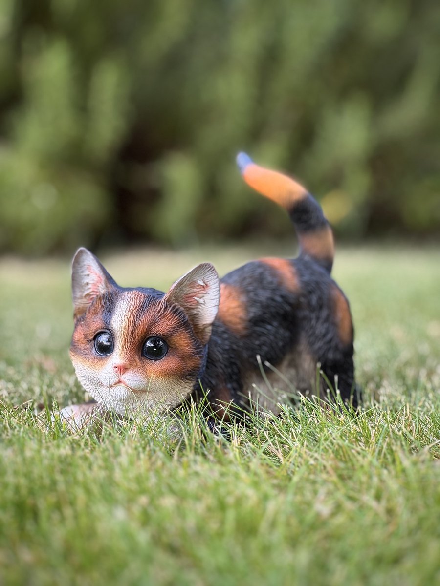poes spelend sluip tricolor 16 cm hoog ess - decoratief beeld - kat - kitten - dierenbeeld - voor buiten - cadeau - geschenk - verjaardag - voor hem - voor haar - Vaderdag - Moederdag - Valentijn - Pasen