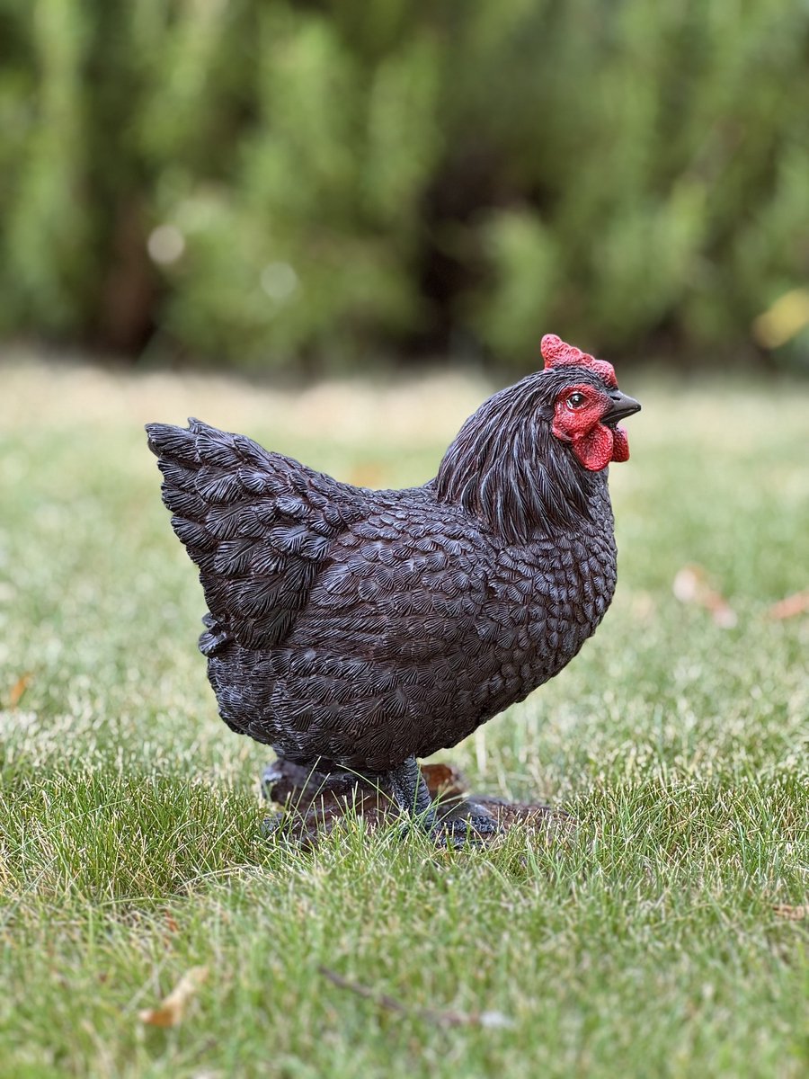 Kip Staand 20 cm hoog zwart Ess - Boerderijdier - Decoratief beeld - Voor buiten - Tuindecoratie - Dierenbeeld - Vogel - Pasen - Schattig - Voor hem - Voor haar - Vaderdag - Moederdag - cadeau - Geschenk - Verjaardag - Nieuwjaar - Kerst