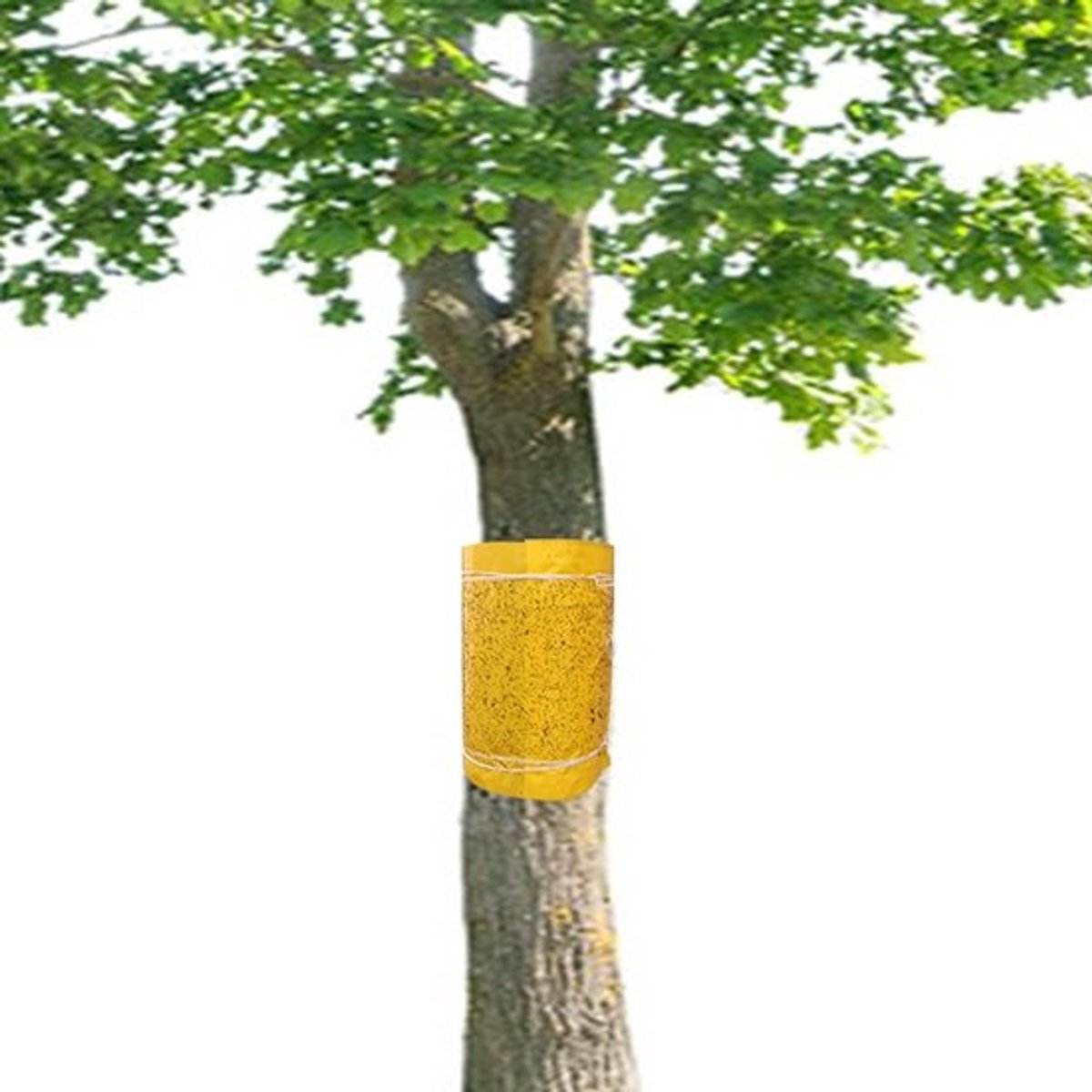 Zelfklevende Lijmringen 15m Geel voor Bescherming van Fruitbomen, Antilijm Ringen voor Kersen-, Appel- en Pruimenbomen, Trunkbescherming en Plantenverzorging