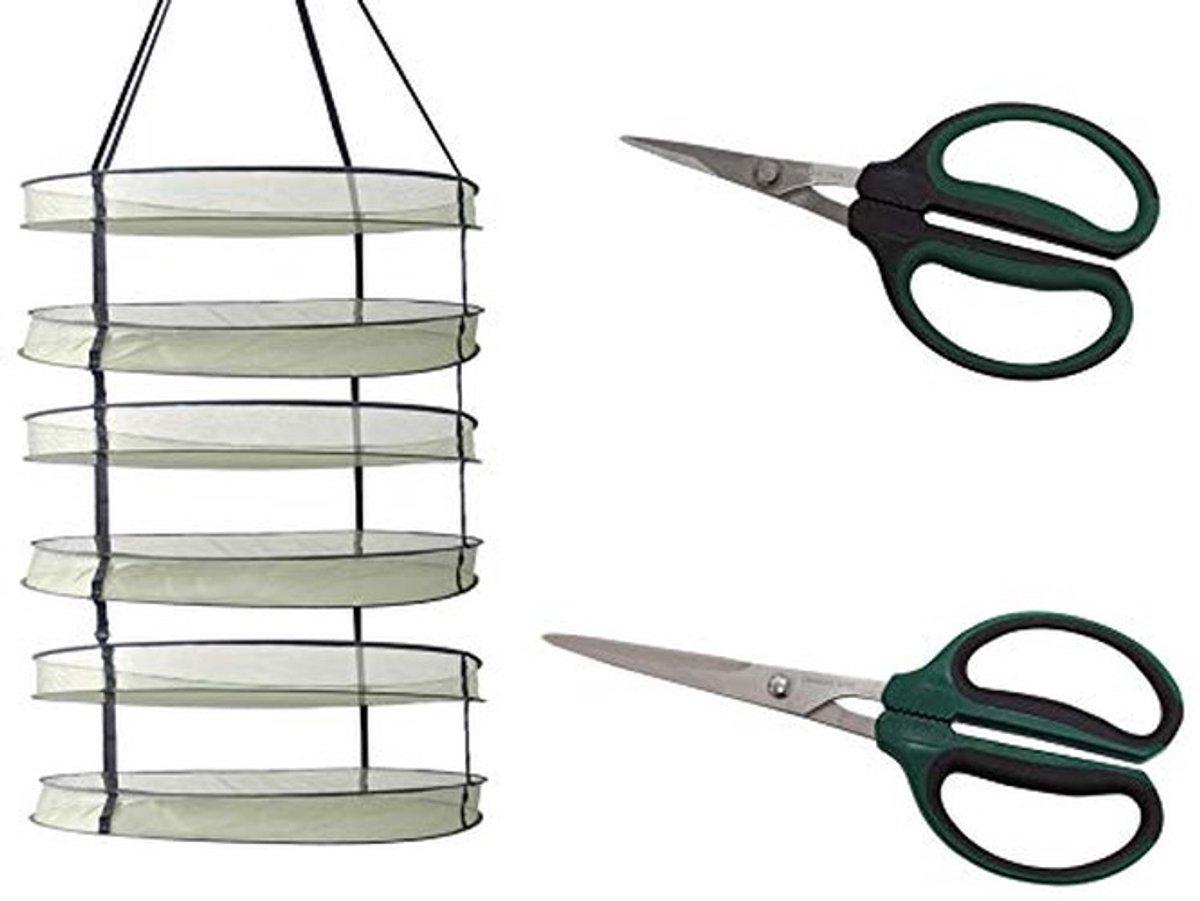 Solidchoice - Oogstset 3-delig met Droognet en Scharen