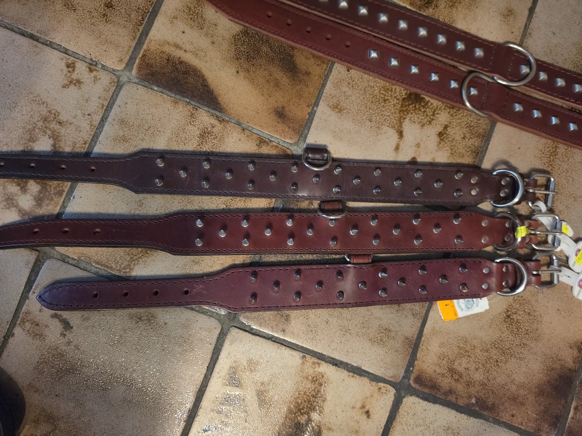 Hamilton Spike bulldog Halsband leer dubbel gestikt 60 mm,totale lengte 63 cm br 5 cm
