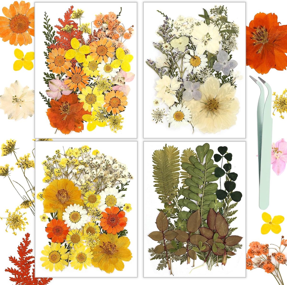 Gedroogde bloemen - 100 stuks geperste bloemen voor ambachtelijke gele echte natuurlijke gedroogde bloemen droge bladeren kit voor doe-het-zelf maken ambachten hars zeep kaars plakboek