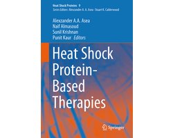 Heat Shock Protein Based Therapies