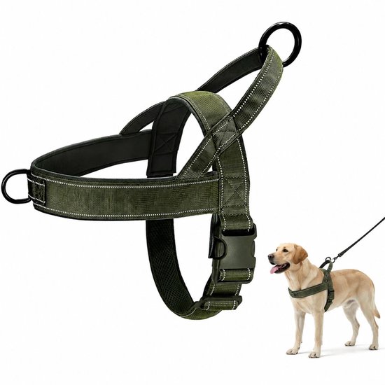 Harnais vert olive pour chien avec détails réfléchissants, porté par un Labrador.