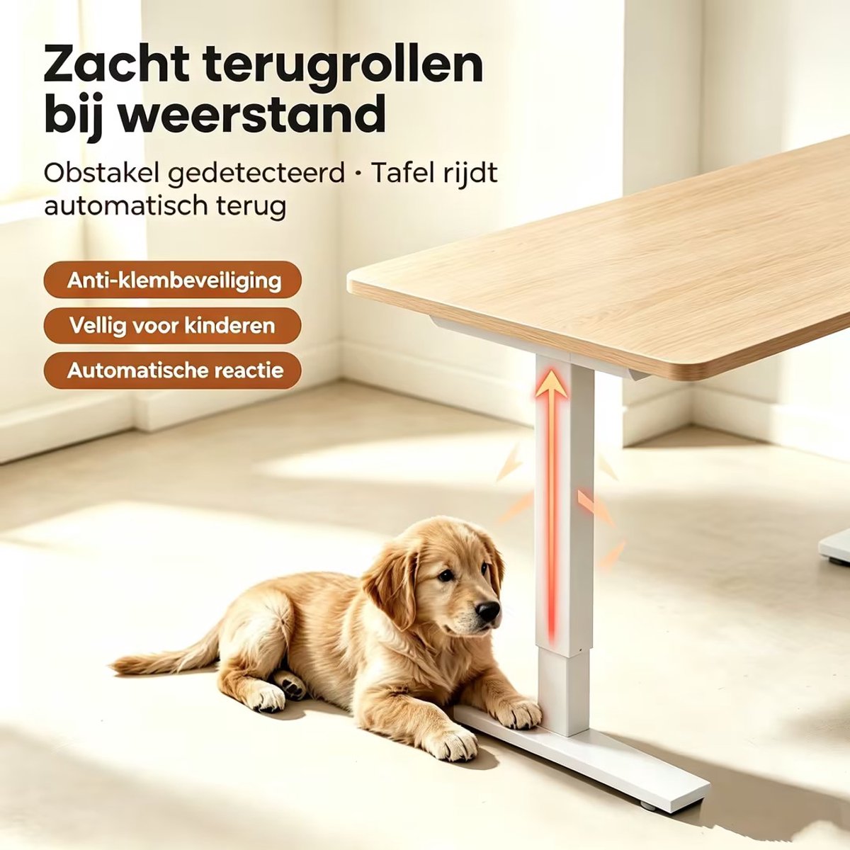 HOMAVO HOMAVO 60x120 Elektrisch Bureau - afbeelding 4