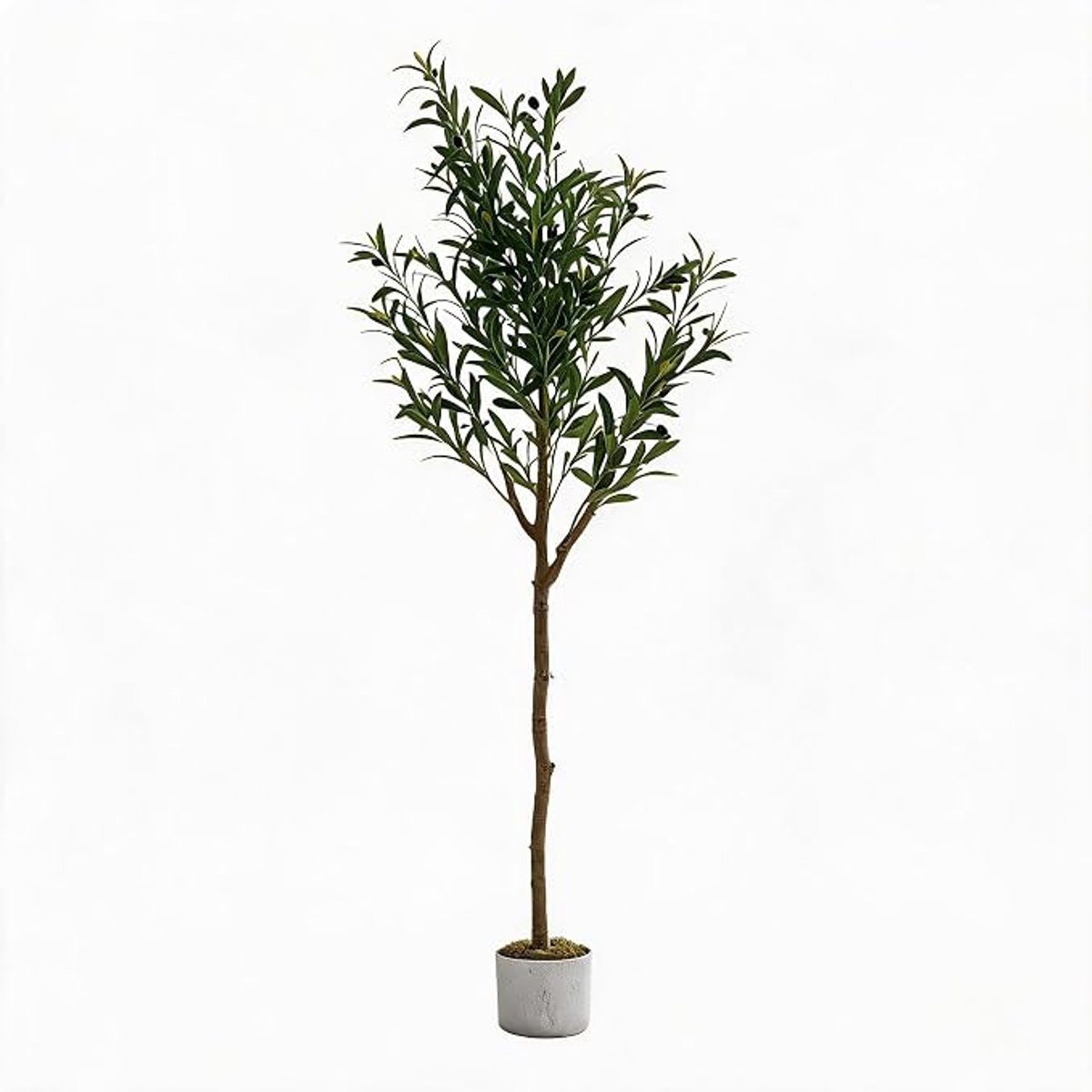Danky - Luxe Kunst‑Olijfboom - 150cm, natuurlijke stam, 22 olijfvruchten inclusief luxe sierpot