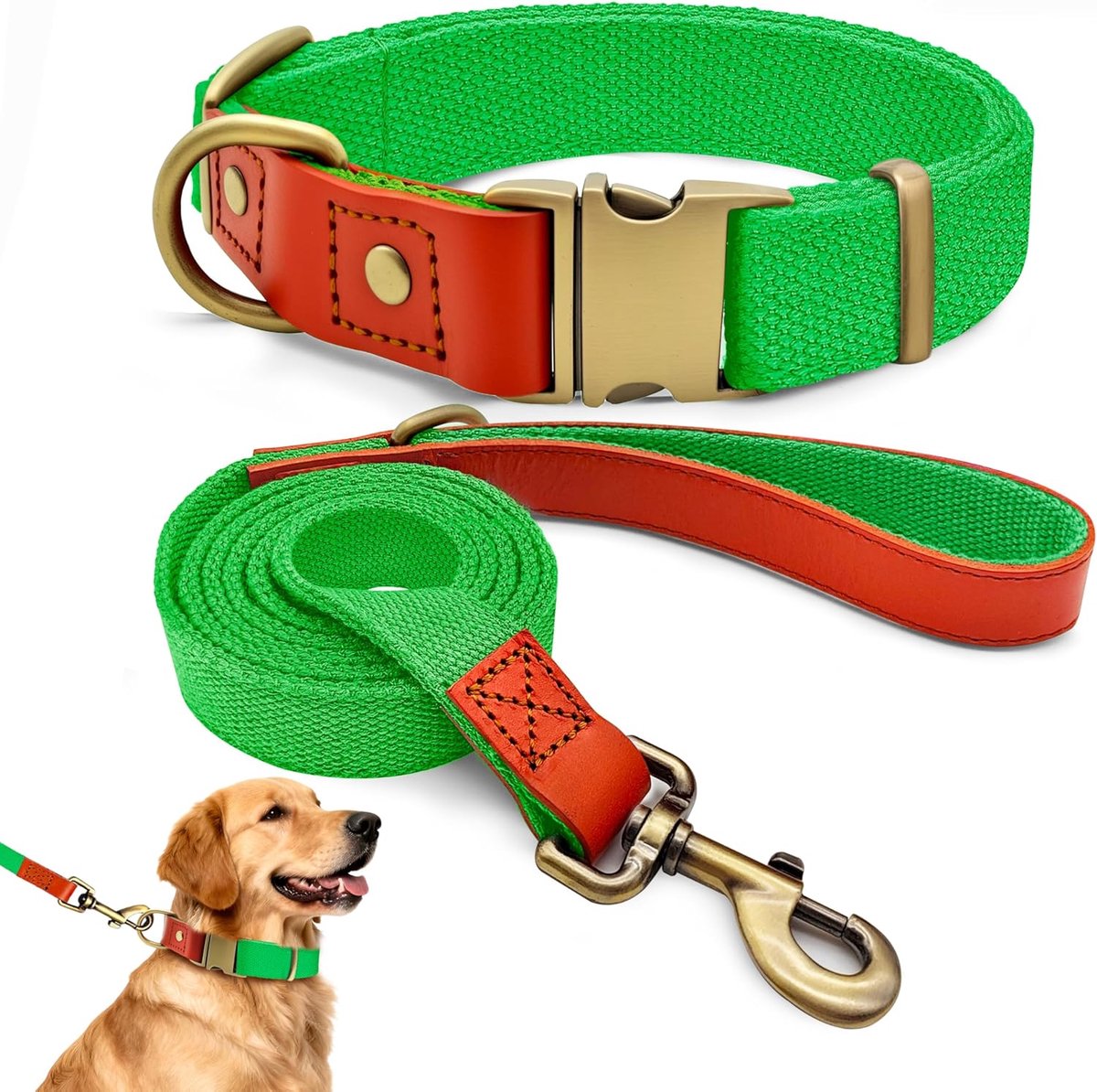 Hondenhalsband en Leash Set XL 43–67 cm - Leer met Nylon - Fluorescerend Groen - Ideaal voor Training en Wandelen - SnelShoppen