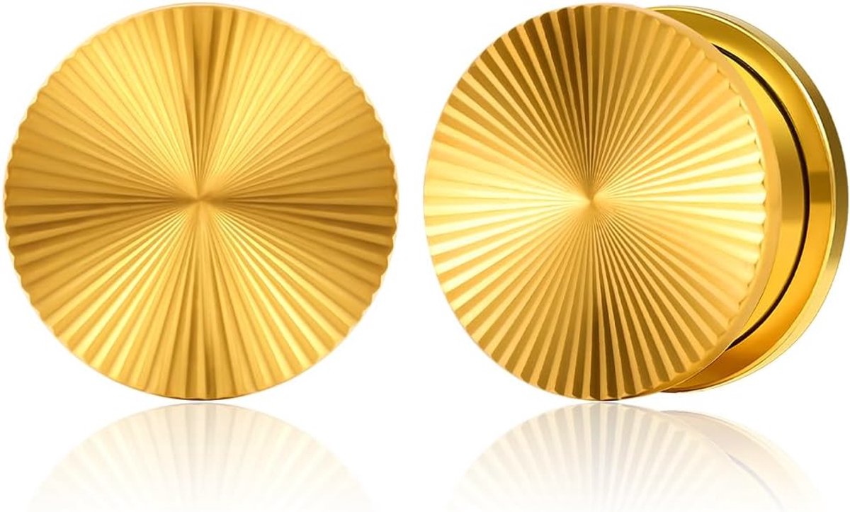 Oortunnel, 1 paar, enkele uitlopende plug, oortunnel, pailletten, van roestvrij staal, piercing, expander, sieraden voor vrouwen en mannen, 6 mm tot 16 mm