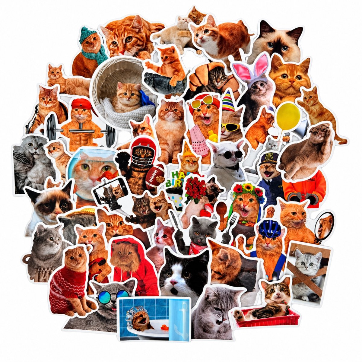 Katten stickers met 50 foto afbeeldingen van grappige katten & poezen 4-6CM