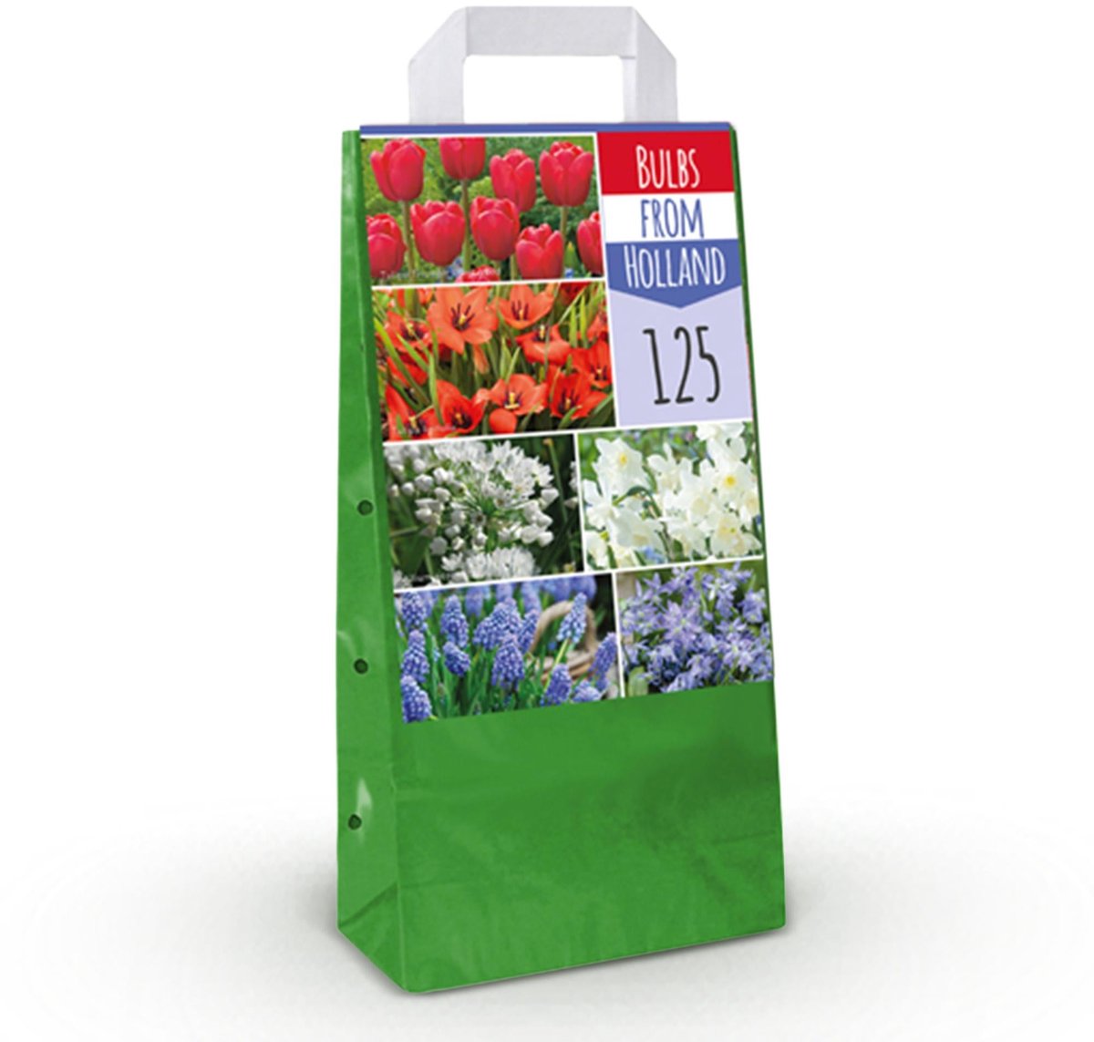 Bloembollen - Bulbs From Holland - Diversen Kleuren - 125 stuks - Gift Verpakking