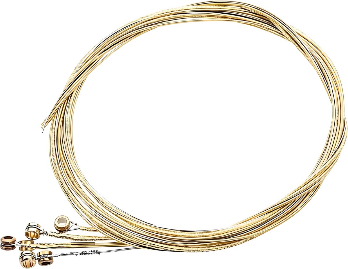 Gitaar snaren 6 stuks - Rvs akoestische snaren - Phosphor bronze winding - Warm geluid voor betere klank - ShopVlot