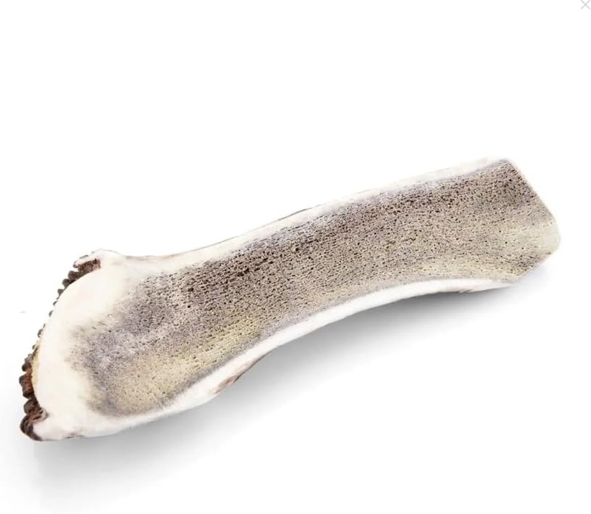 Hertengewei voor honden M - 100% natuurlijk - versterkt mondhygiëne - langdurig kauwplezier - ShopVlot