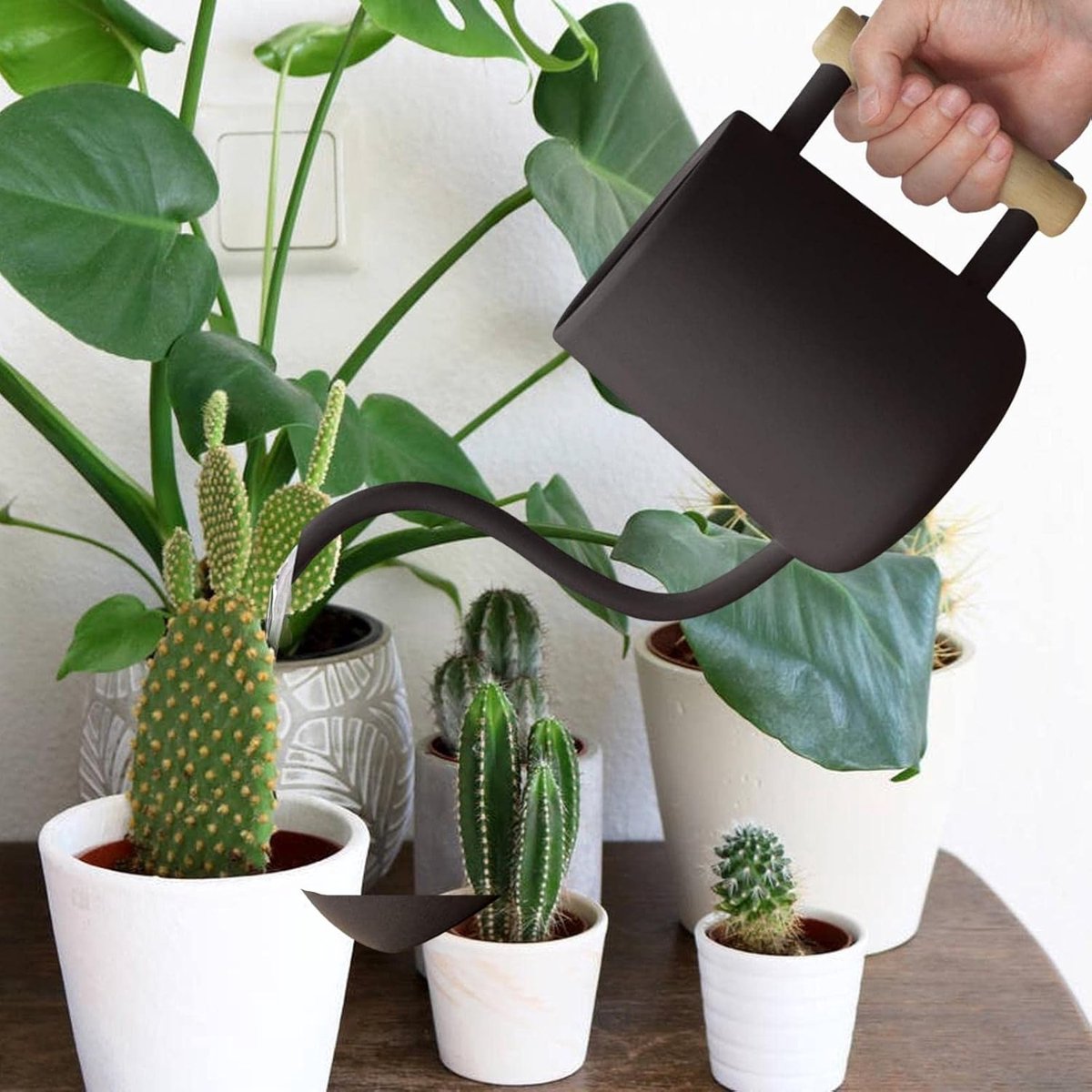 Gieter Kamerplanten - Waterkan Planten - Planten Water Geven - Lange Tuit - 1 Liter - Zilver