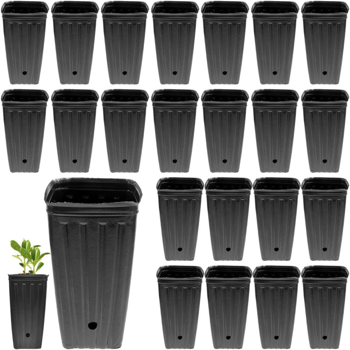 Setzling Plantenbakken, 30 stuks, 10 x 20 cm, rechthoekige kunststof kweekpotten met watertransportfunctie, voor binnen en buiten, plantenteelt