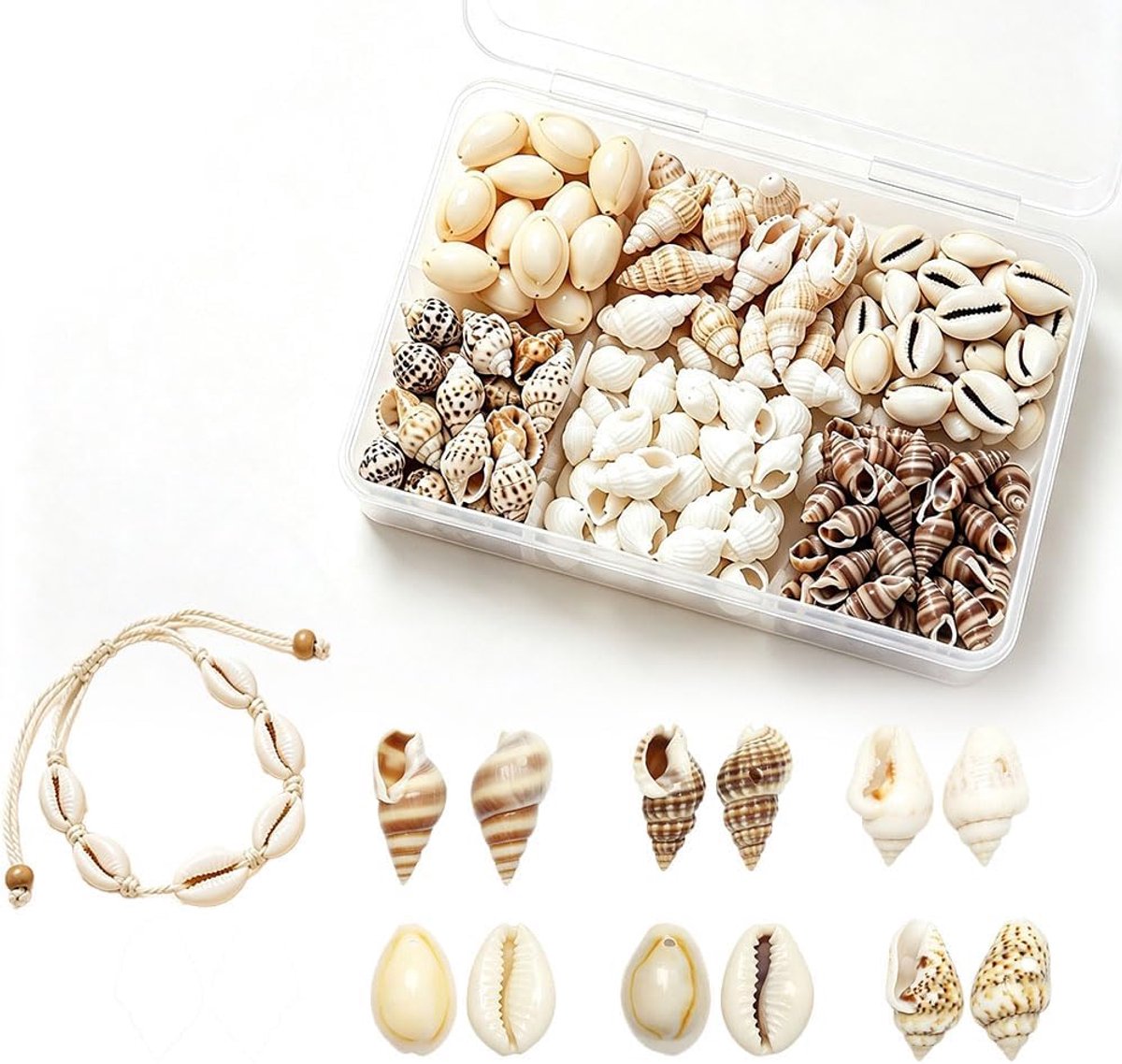 Decoratie, decoratieve schelpen met gat, 120 stuks in 6 verschillende stijlen | Schelpen decoratie inclusief opbergdoos – ideaal voor armbandsieraden, doe-het-zelf knutselwerk en rijgen