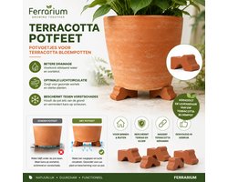 Ferrarium Terracotta Voetjes - Potfeet voor Terracotta Bloempotten - Oranje - Bloempot Dragers