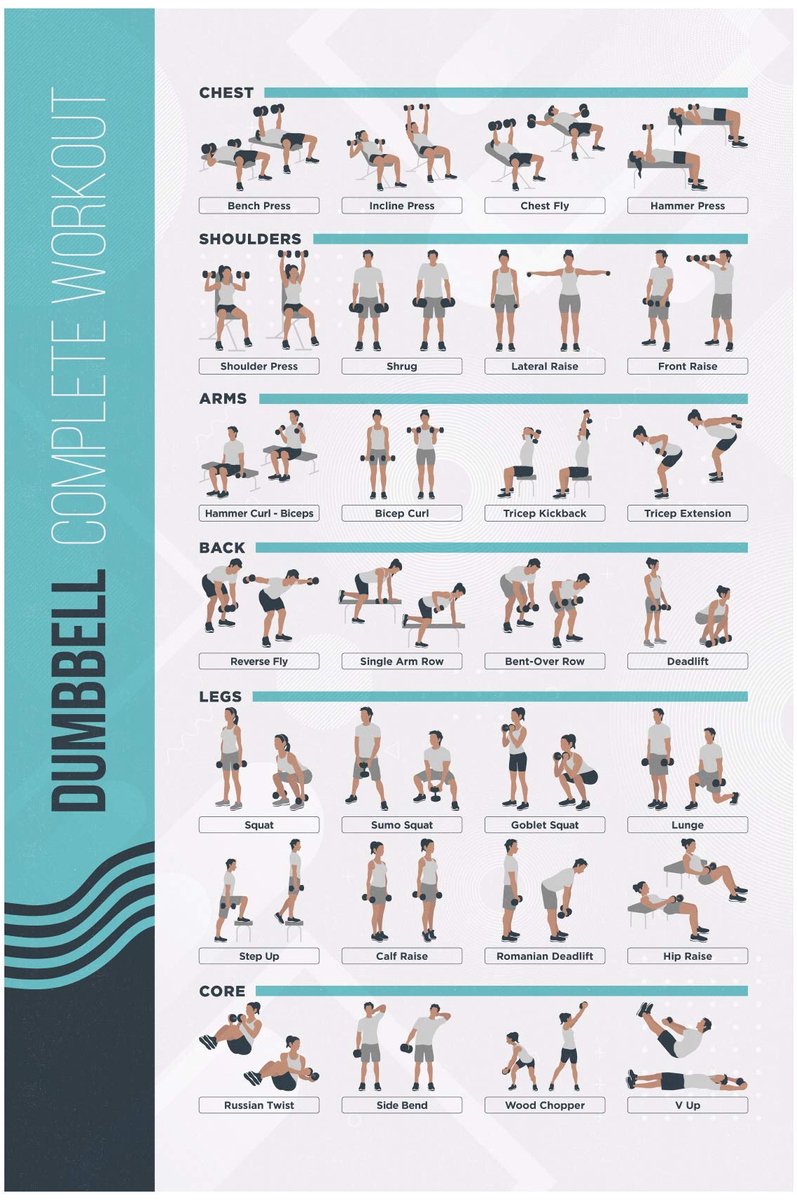 Dumbbell Oefenposter 28 Workouts - Gelamineerd en Duurzaam - Thuis Fitness Schema - Perfect voor Krachttraining - ShopVlot