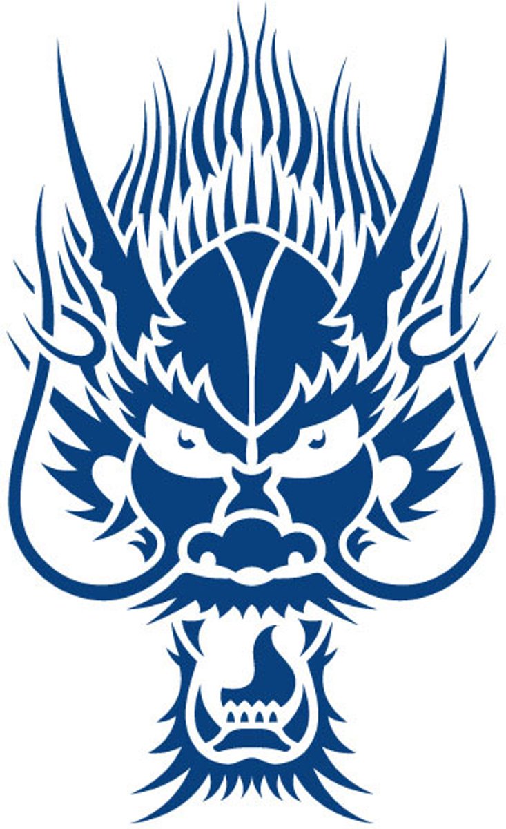 Tijdelijke tattoo Dragon Head Rage 2 weken
